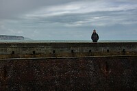 DSC08660