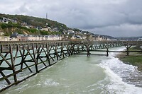 DSC08663
