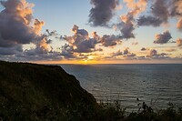 DSC08768