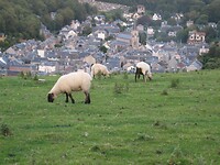 IMG_0372