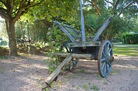DSC08901