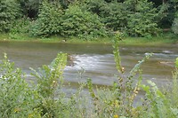 DSC08952
