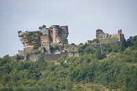 DSC08958