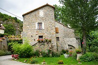 DSC09049