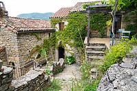DSC09069