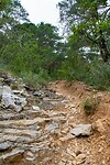 DSC09078