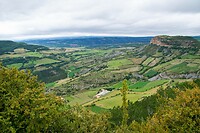 DSC09089
