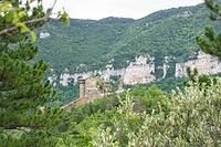 DSC09098