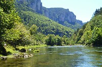 P1040546