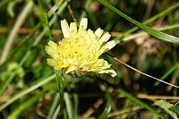 DSC09200