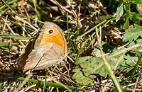 DSC09207wb