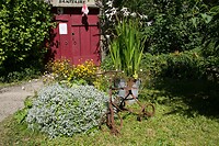 DSC09256b