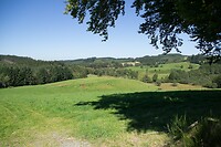 DSC09312b