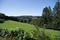 DSC09315b