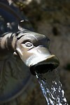 DSC09347b