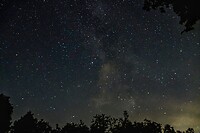_DSC3401- 1-01
