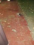 IMG-20161030-WA0002