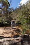 DSC00600R