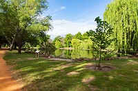 DSC00921R
