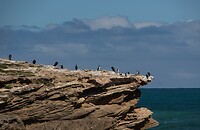 DSC01193R