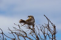 DSC01311R