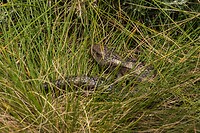 DSC01371R