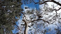 20161111_150020