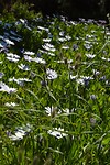 DSC01567R