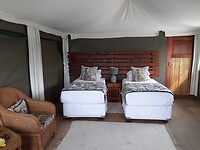 Elephant Sands