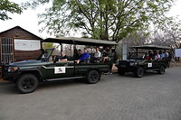 Op safari