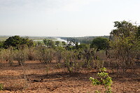 Landschap Chobe National Park