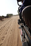 Safari