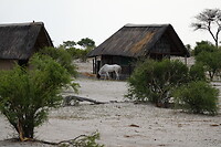 Elephant Sands