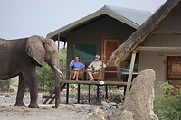 Out of Africa