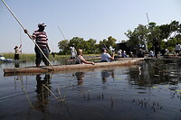 Mokoro