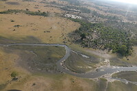 Vertakkingen in de Okavanga Delta