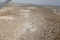 Okavanga Delta