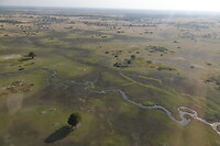 Okavanga Delta