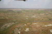 Okavanga Delta