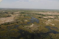 Okavanga Delta