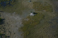 Okavanga Delta