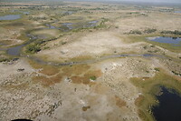 Okavanga Delta
