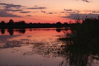 zonsopkomst aan de Okavango rivier