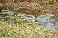 _DSC5969-01