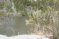Otjikoto Lake