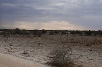 Etosha National Park