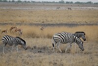 _DSC6103-01