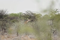 _DSC6289-01
