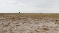 landschap
