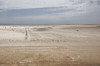 Skeleton Coast